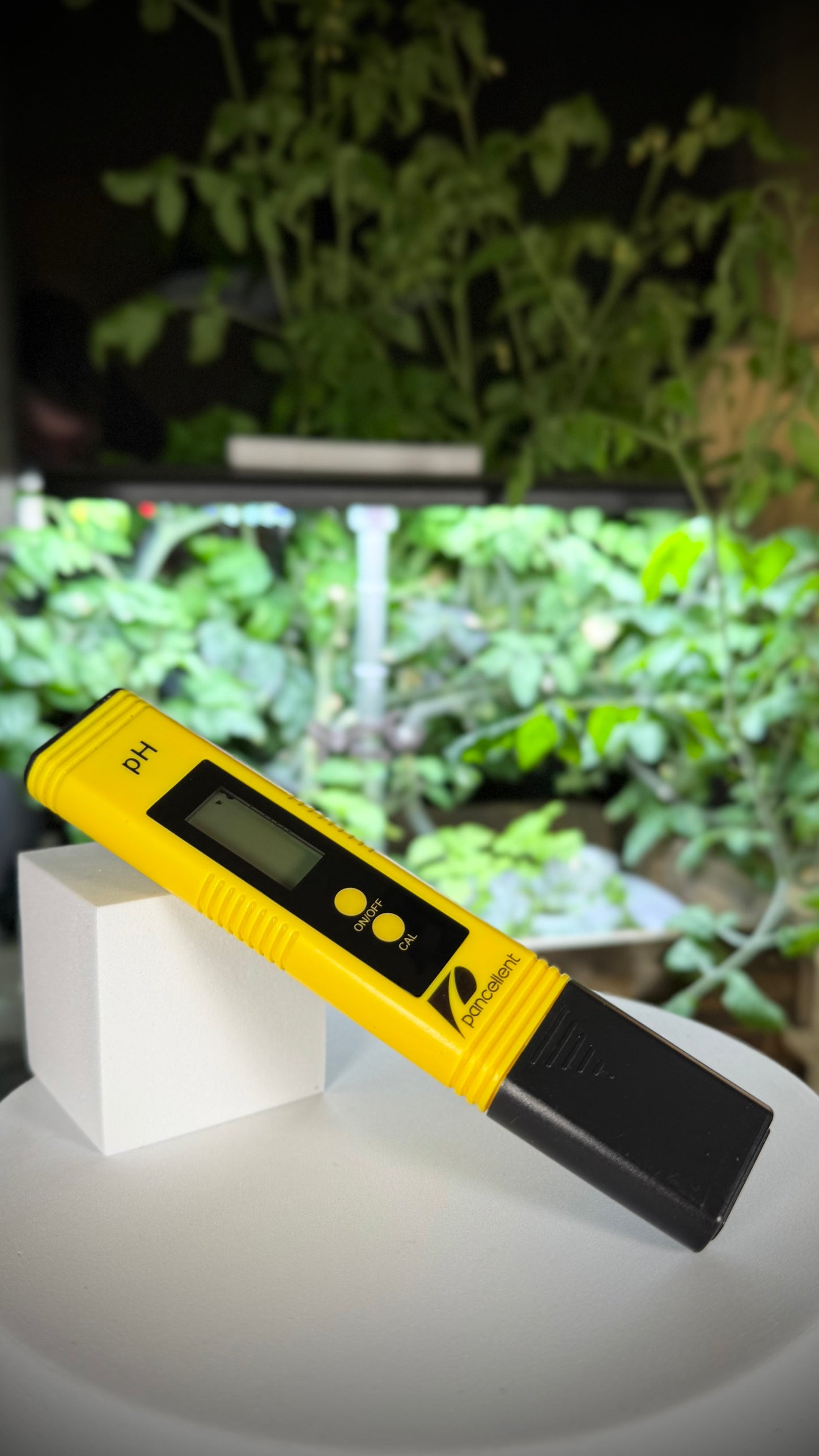 PH meter