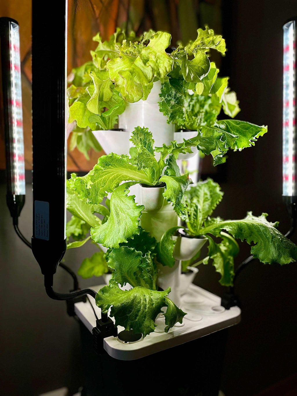 Vertical hydroponic gardening kit with LED lights growing greens, Skystack system.
