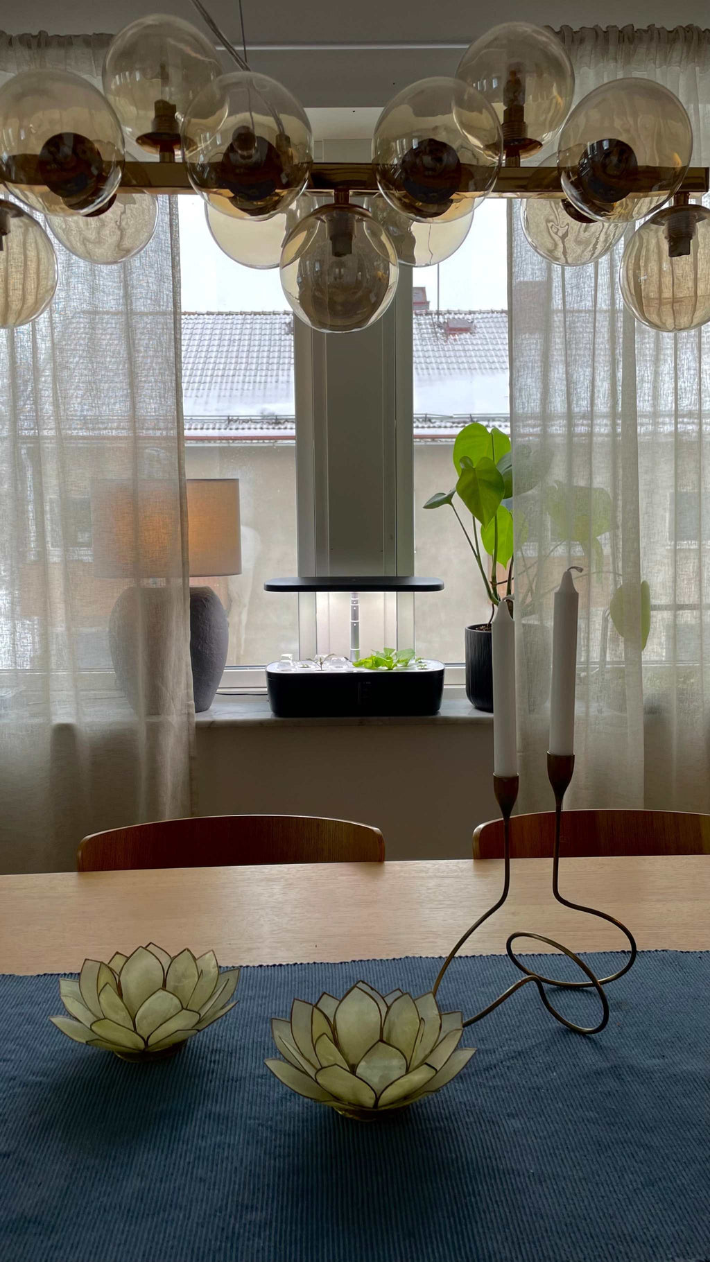 Smoothcrops Hydrowave hydroponic system on kitchen counter, elegant black design for 12 plants.