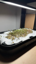 Sproutbench med mikrogrönt under LED-odlingslampa, kompakt förodlingsbänk för hemmaodling.