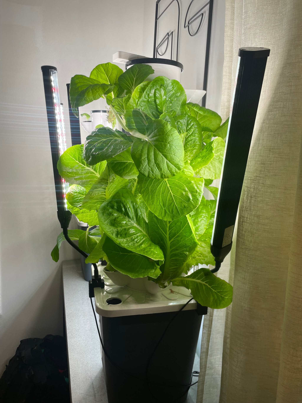 Vertical hydroponic growing system with LED lighting, featuring lush plants.