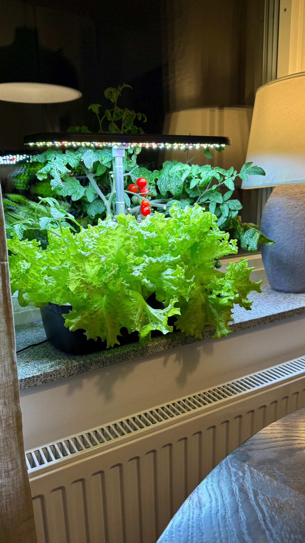 Smoothcrops Hydrowave hydroponic system growing lush plants on a windowsill.