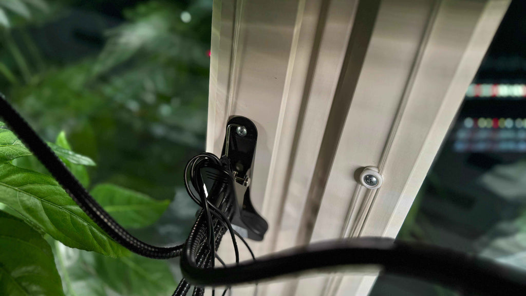 Smoothcrops växtlampa