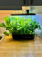 Smoothcrops Hydrowave hydroponic system with LED light growing herbs and vegetables on a kitchen counter.