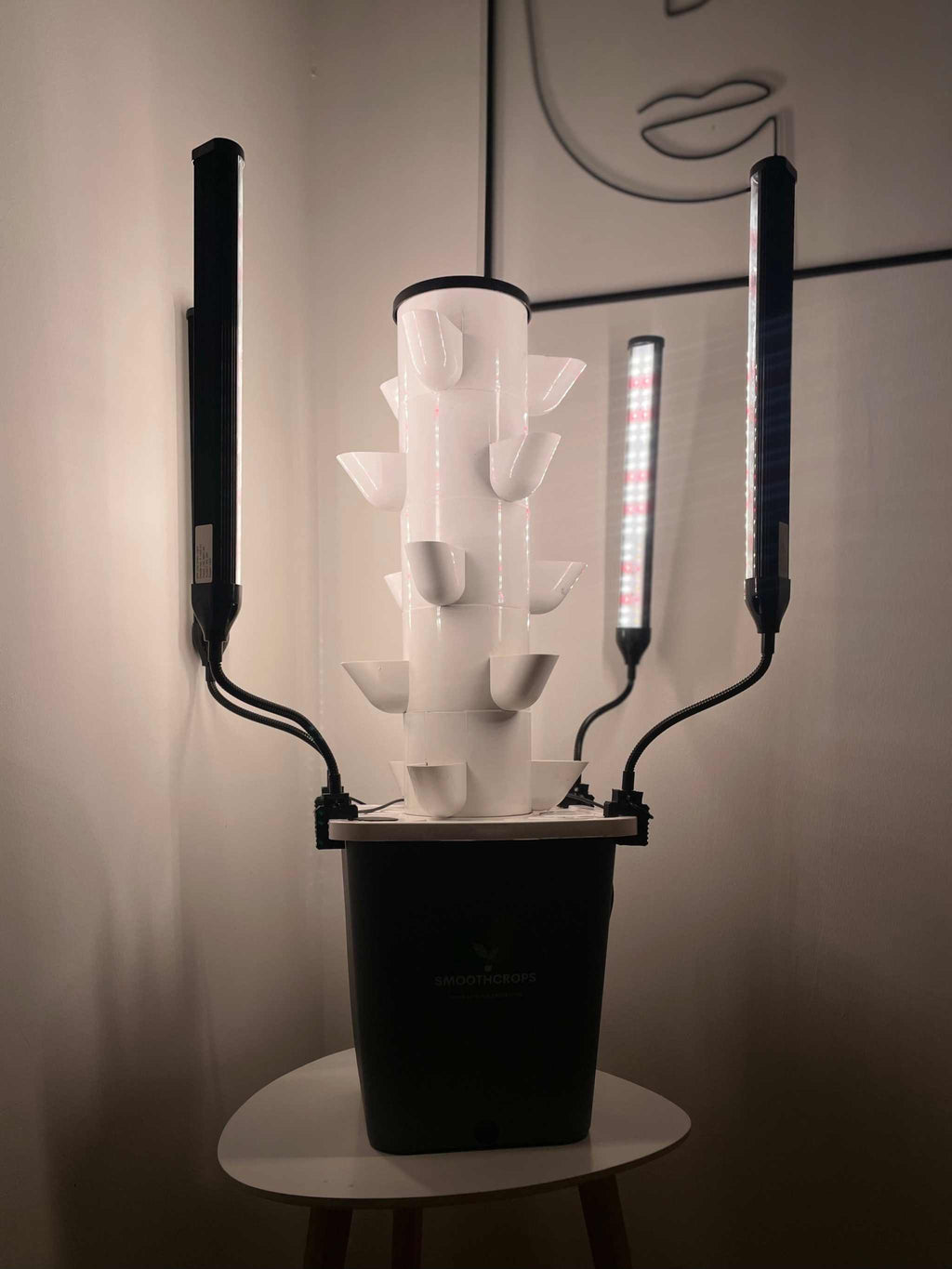 Vertical hydroponic growing kit with LED lighting, SkyStack system.