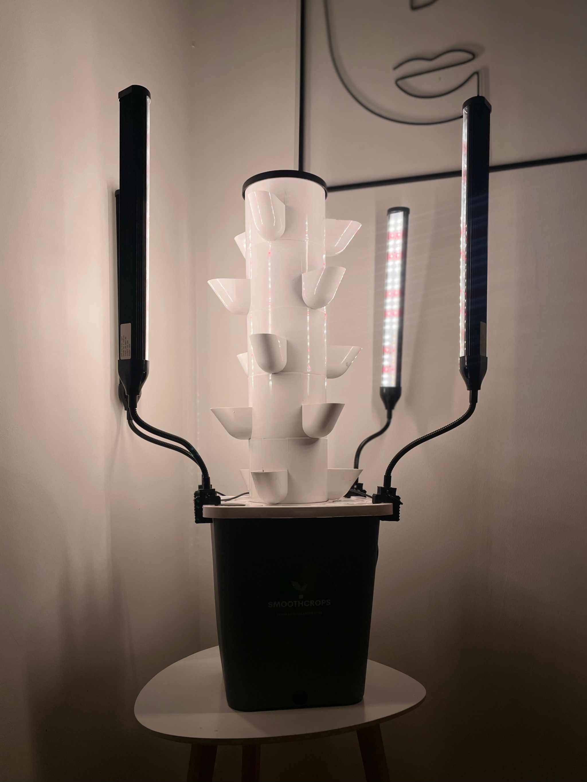 Vertical hydroponic growing kit with LED lighting, SkyStack system.