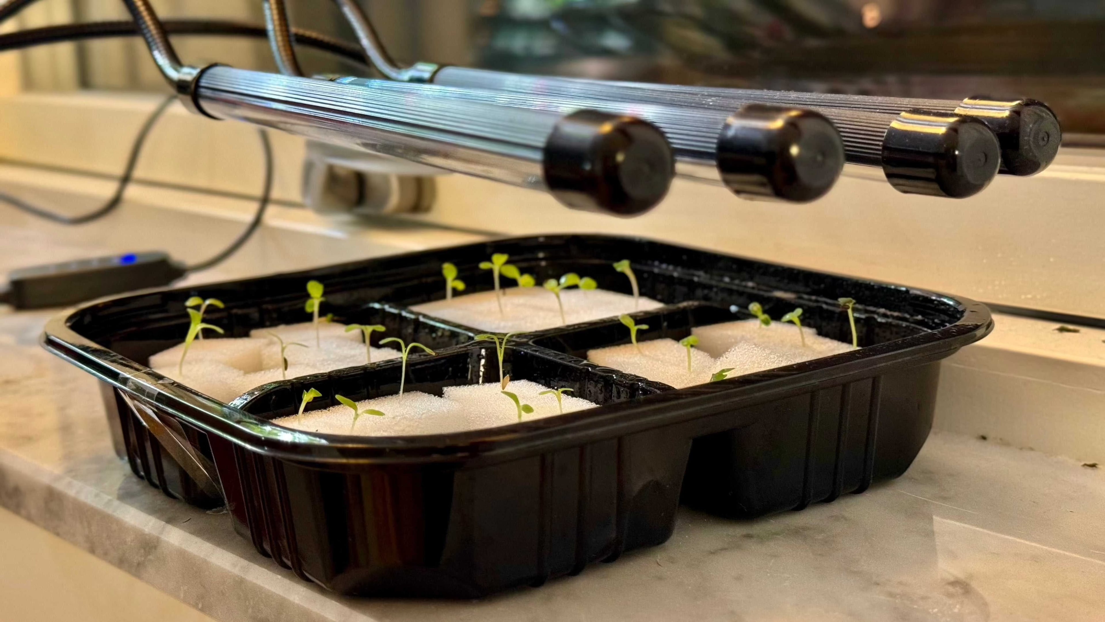 MaxiGrowth växtbelysning, perfekt till förodling