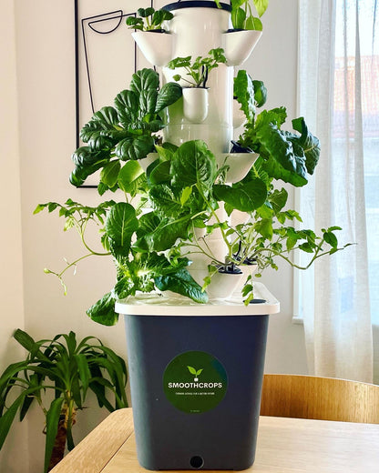 SkyStack, cultivo hidropónico.