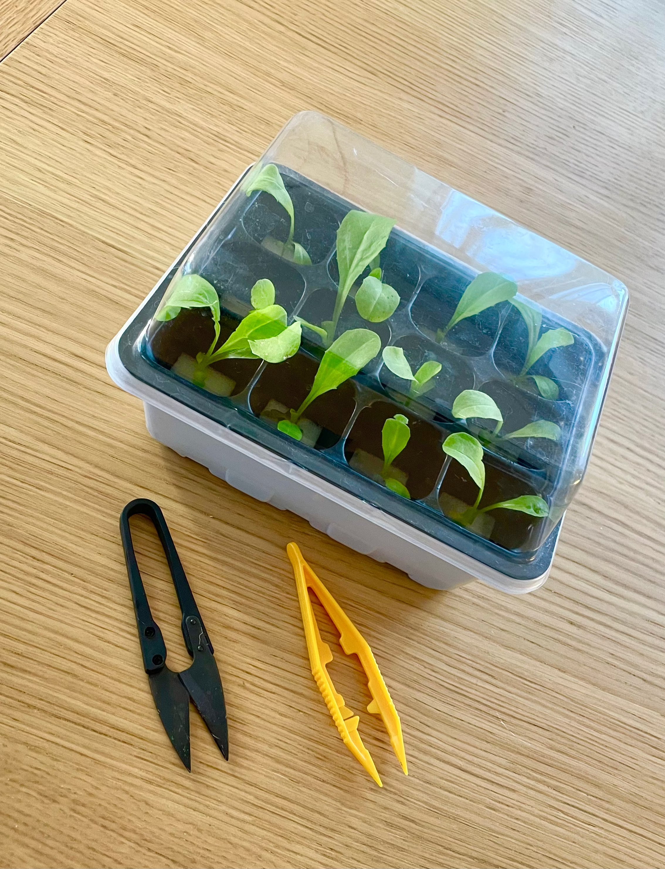 Odlingstorn Skystack