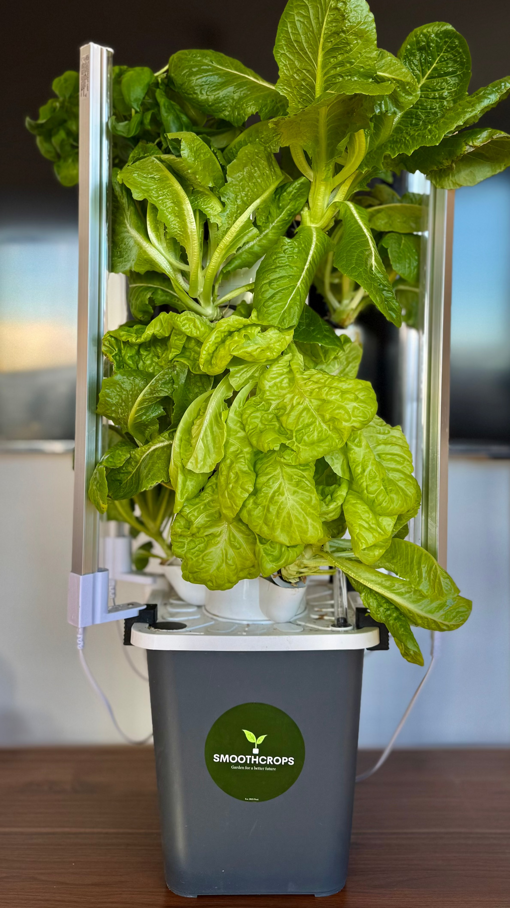 KAMPANJ! Skystack, komplett kit