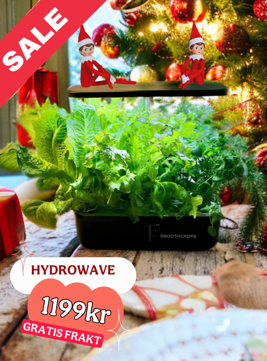 Smoothcrops Hydrowave, hydroponisk odling 12 plantor