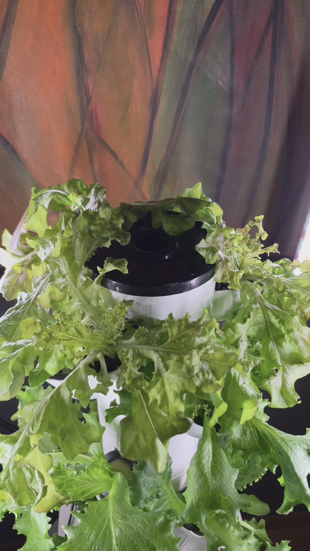 Skystack (ej belysning)